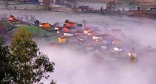 resurgiendo de entre la niebla ya de vuelta.jpg